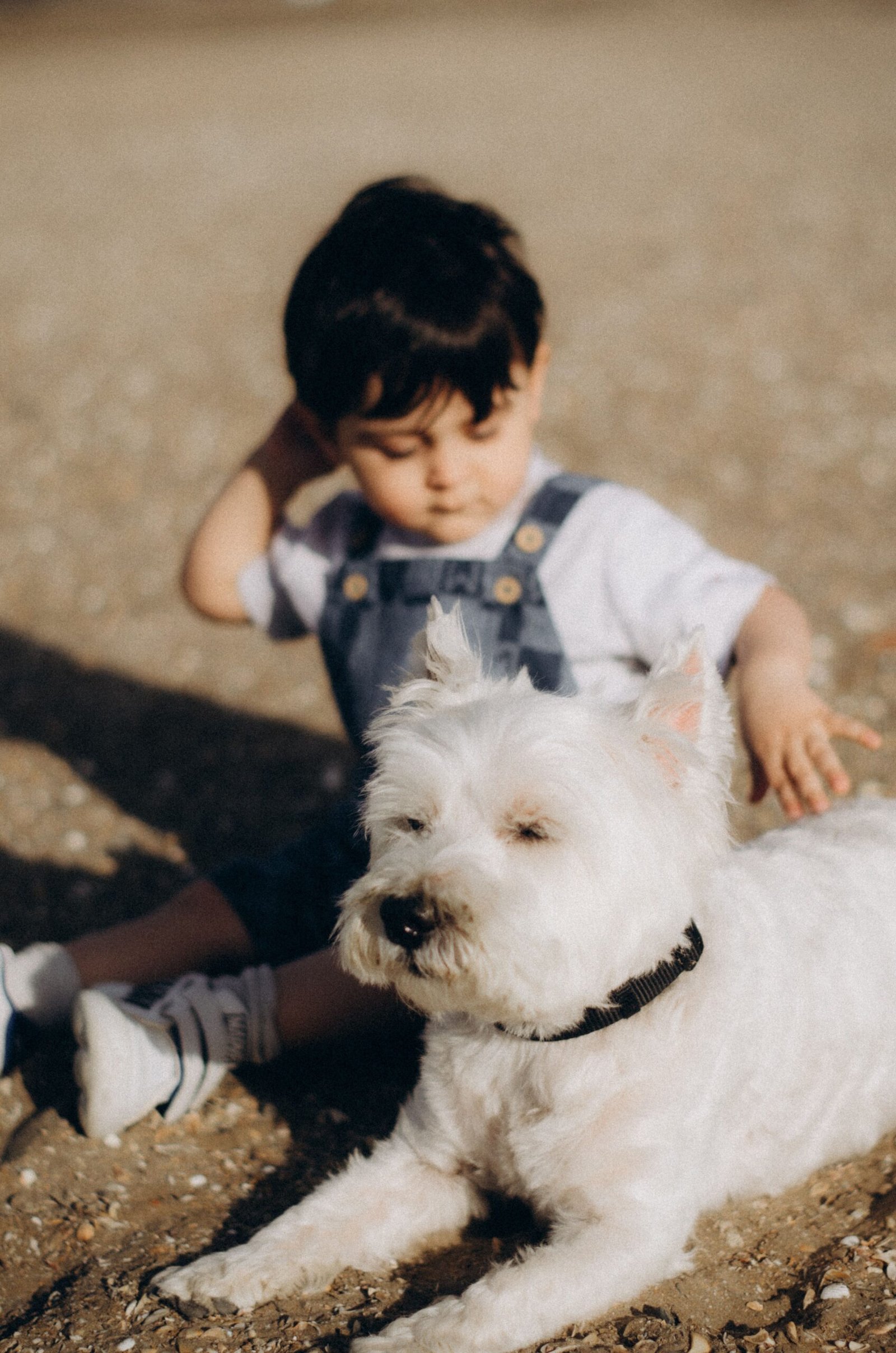 pexels-nazila-25695909